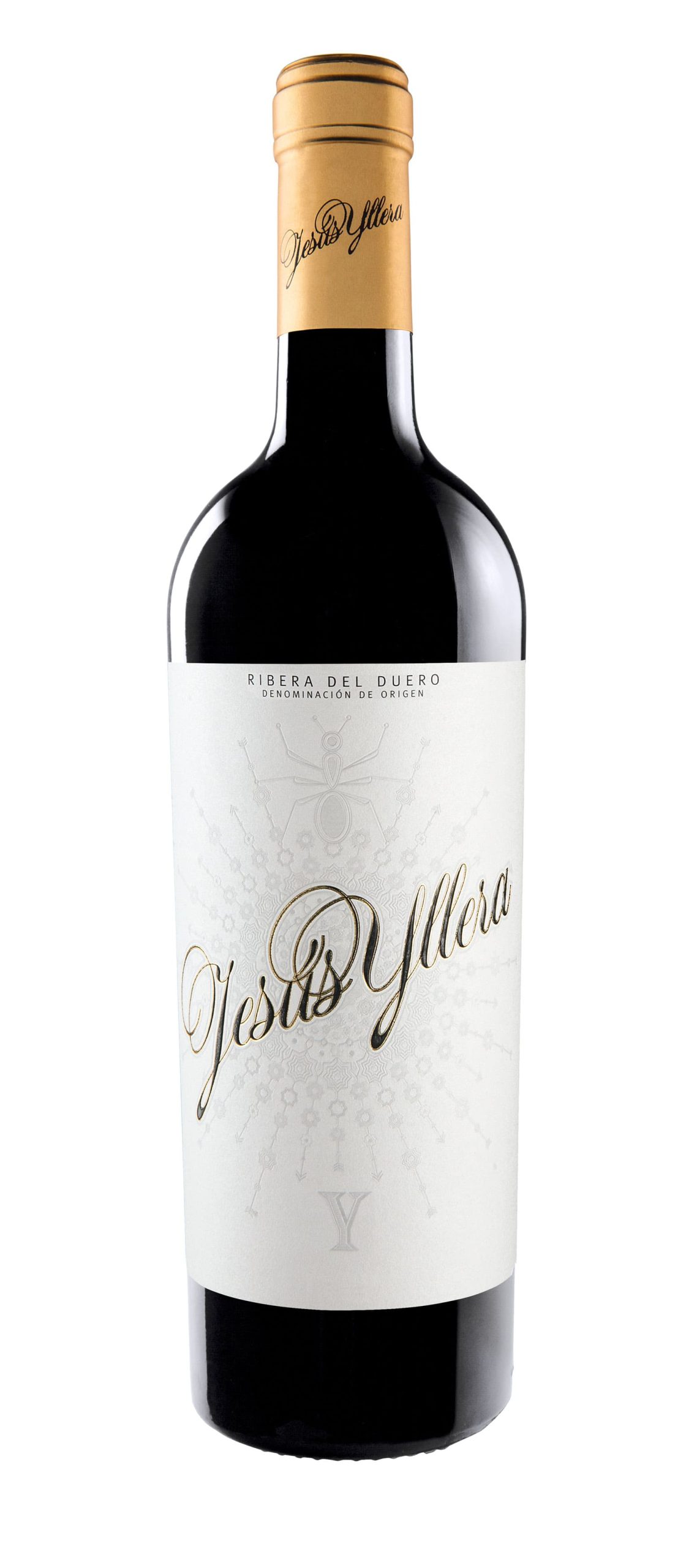 Jesús Yllera 2019